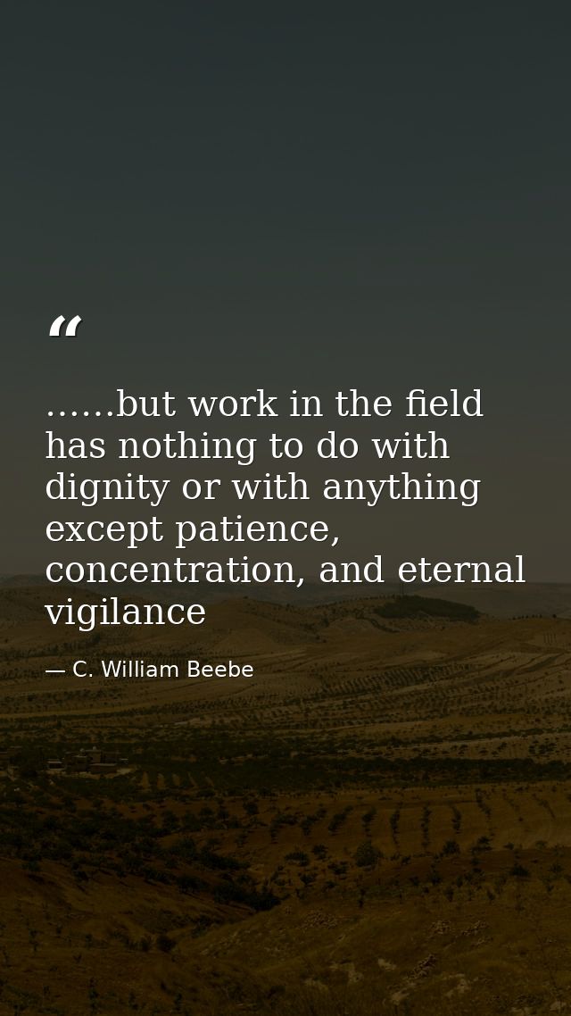 ……but work in the field has nothing to do with dignity or with anything except patience, concentration, and eternal vigi — C. William Beebe