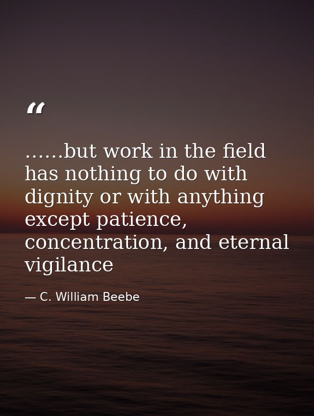 ……but work in the field has nothing to do with dignity or with anything except patience, concentration, and eternal vigi — C. William Beebe