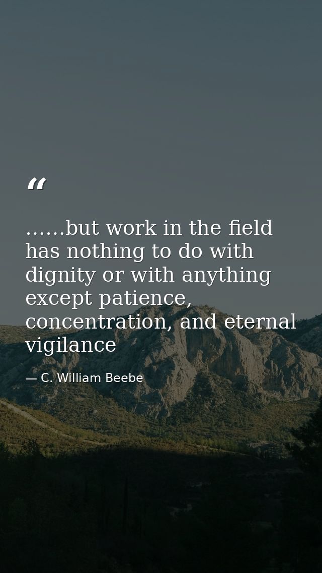 ……but work in the field has nothing to do with dignity or with anything except patience, concentration, and eternal vigi — C. William Beebe
