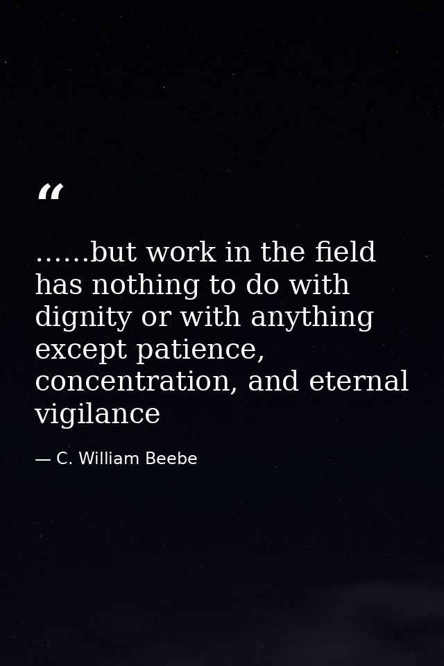 ……but work in the field has nothing to do with dignity or with anything except patience, concentration, and eternal vigi — C. William Beebe