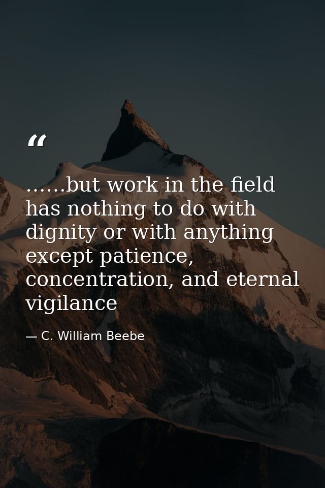 ……but work in the field has nothing to do with dignity or with anything except patience, concentration, and eternal vigi — C. William Beebe