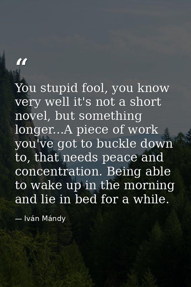 You stupid fool, you know very well it's not a short novel, but something longer...A piece of work you've got to buckle  — Iván Mándy