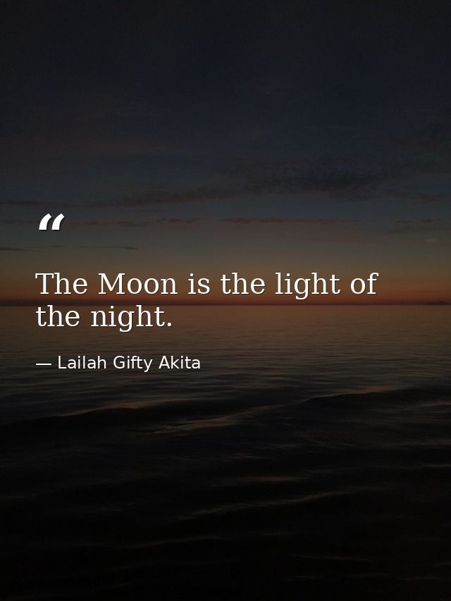 The Moon is the light of the night. — Lailah Gifty Akita
