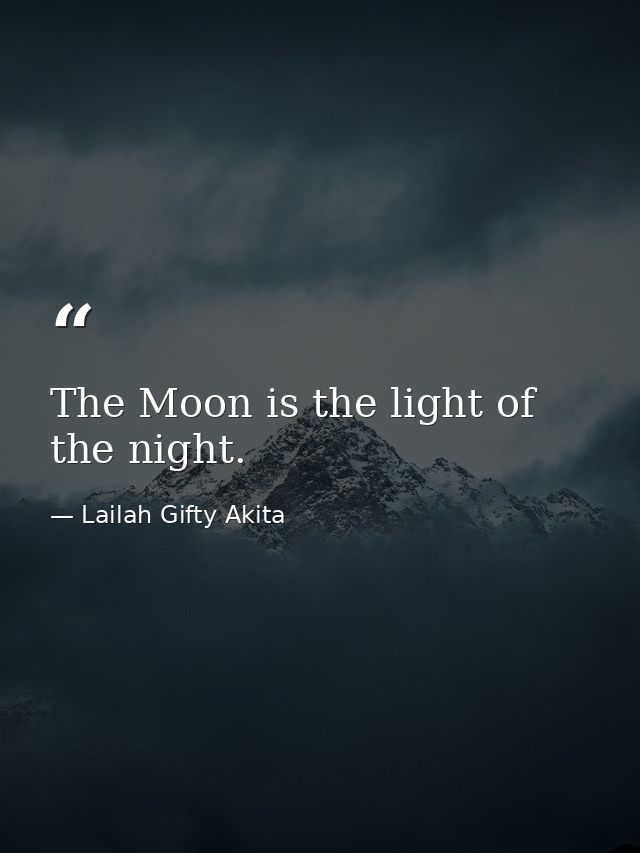 The Moon is the light of the night. — Lailah Gifty Akita