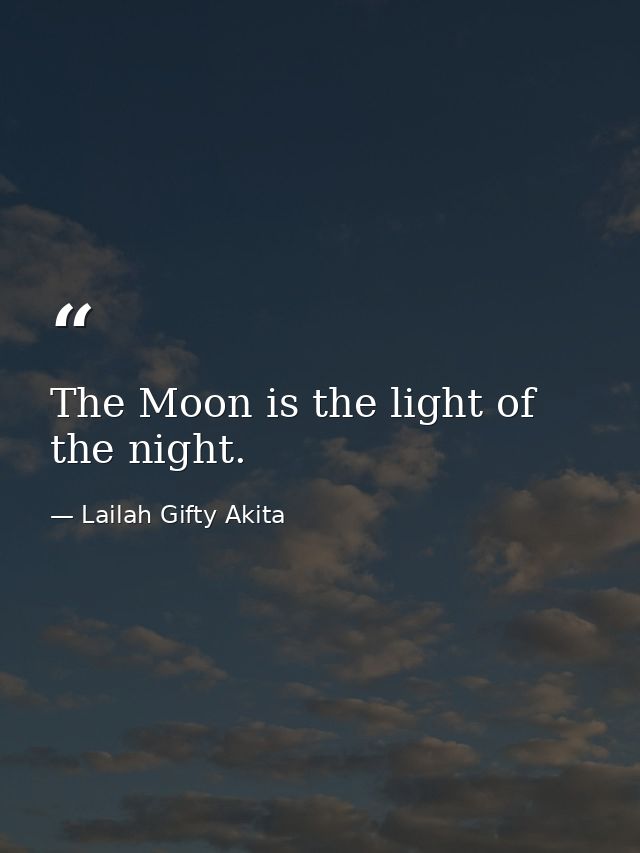 The Moon is the light of the night. — Lailah Gifty Akita