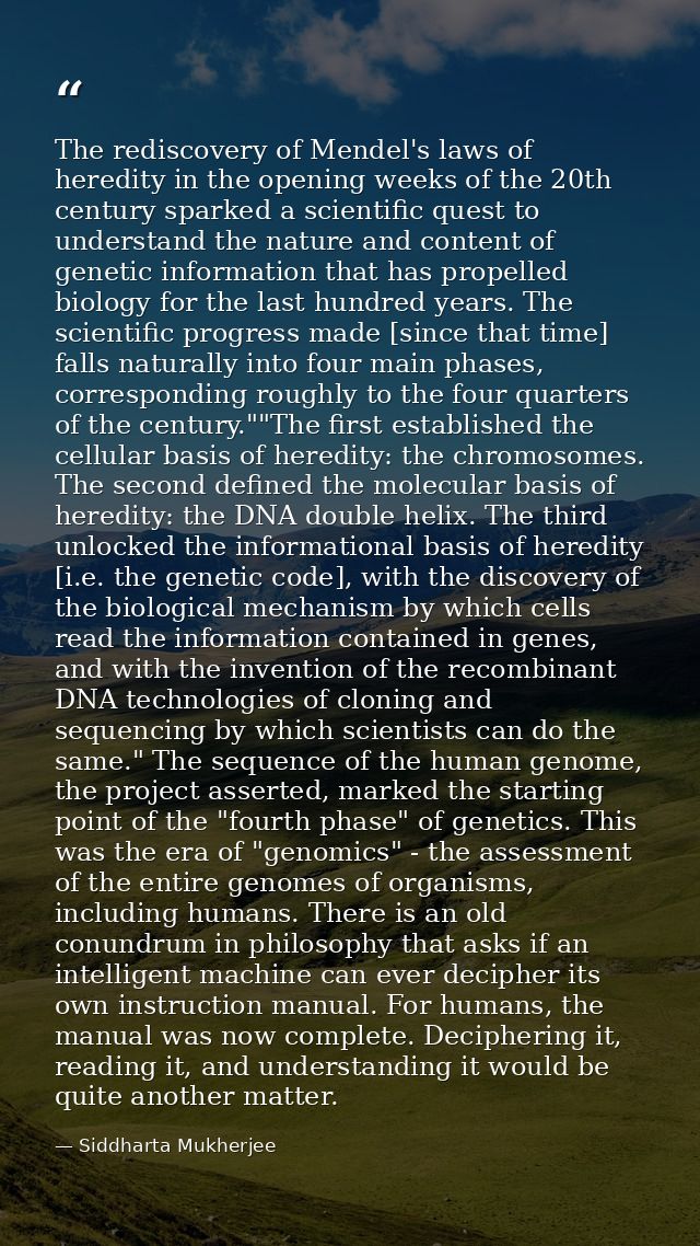 The rediscovery of Mendel's laws of heredity in the opening weeks of the 20th century sparked a scientific quest to unde — Siddharta Mukherjee