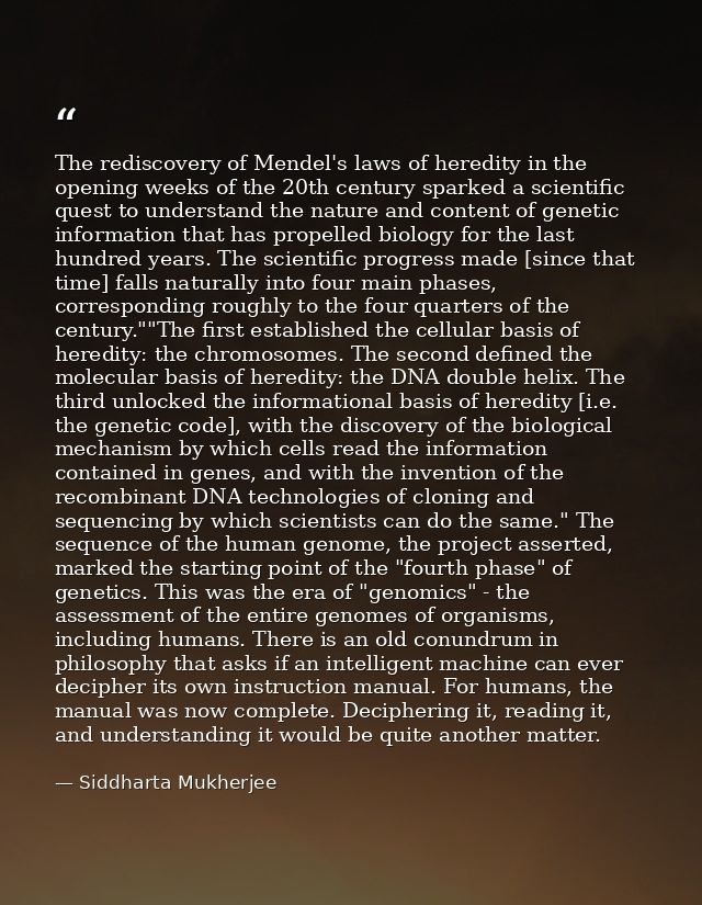 The rediscovery of Mendel's laws of heredity in the opening weeks of the 20th century sparked a scientific quest to unde — Siddharta Mukherjee