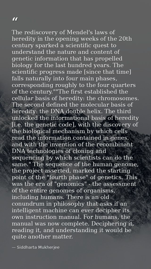 The rediscovery of Mendel's laws of heredity in the opening weeks of the 20th century sparked a scientific quest to unde — Siddharta Mukherjee
