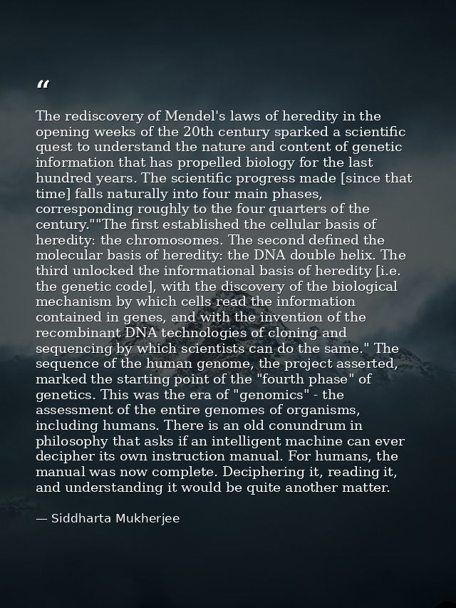 The rediscovery of Mendel's laws of heredity in the opening weeks of the 20th century sparked a scientific quest to unde — Siddharta Mukherjee