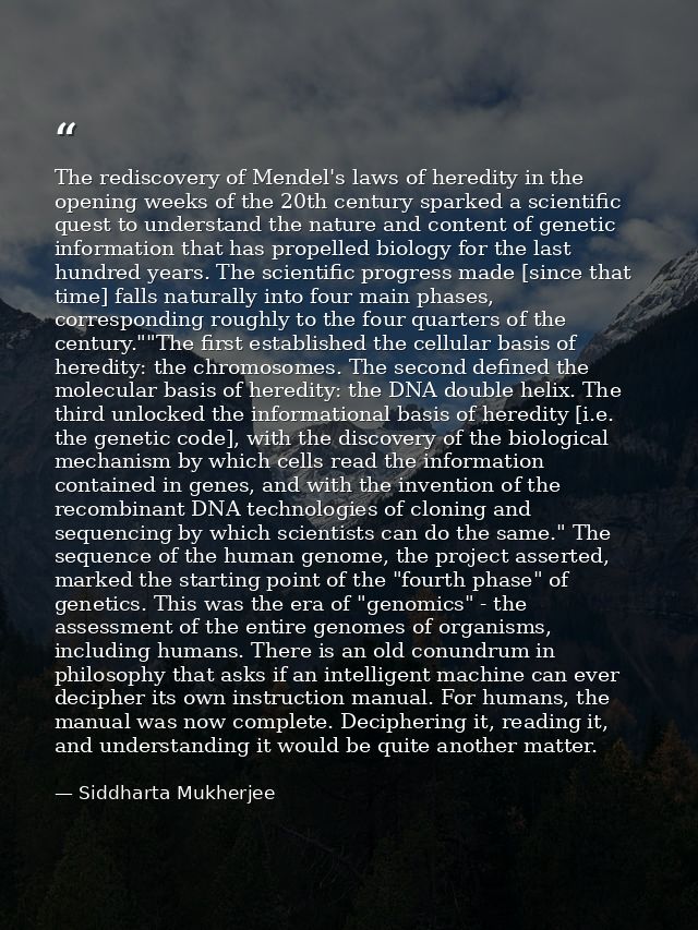 The rediscovery of Mendel's laws of heredity in the opening weeks of the 20th century sparked a scientific quest to unde — Siddharta Mukherjee