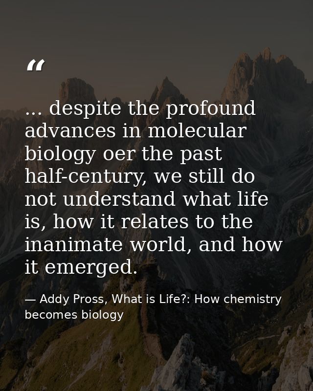 ... despite the profound advances in molecular biology oer the past half-century, we still do not understand what life i — Addy Pross, What is Life?: How chemistry becomes biology