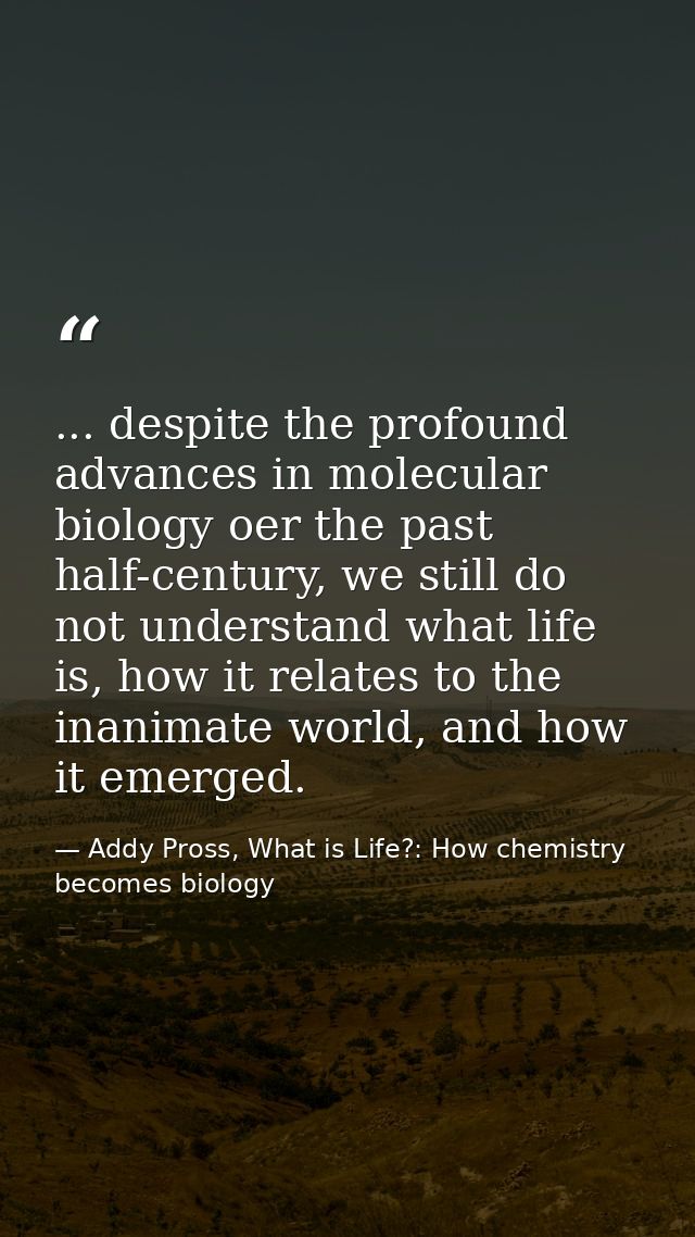 ... despite the profound advances in molecular biology oer the past half-century, we still do not understand what life i — Addy Pross, What is Life?: How chemistry becomes biology