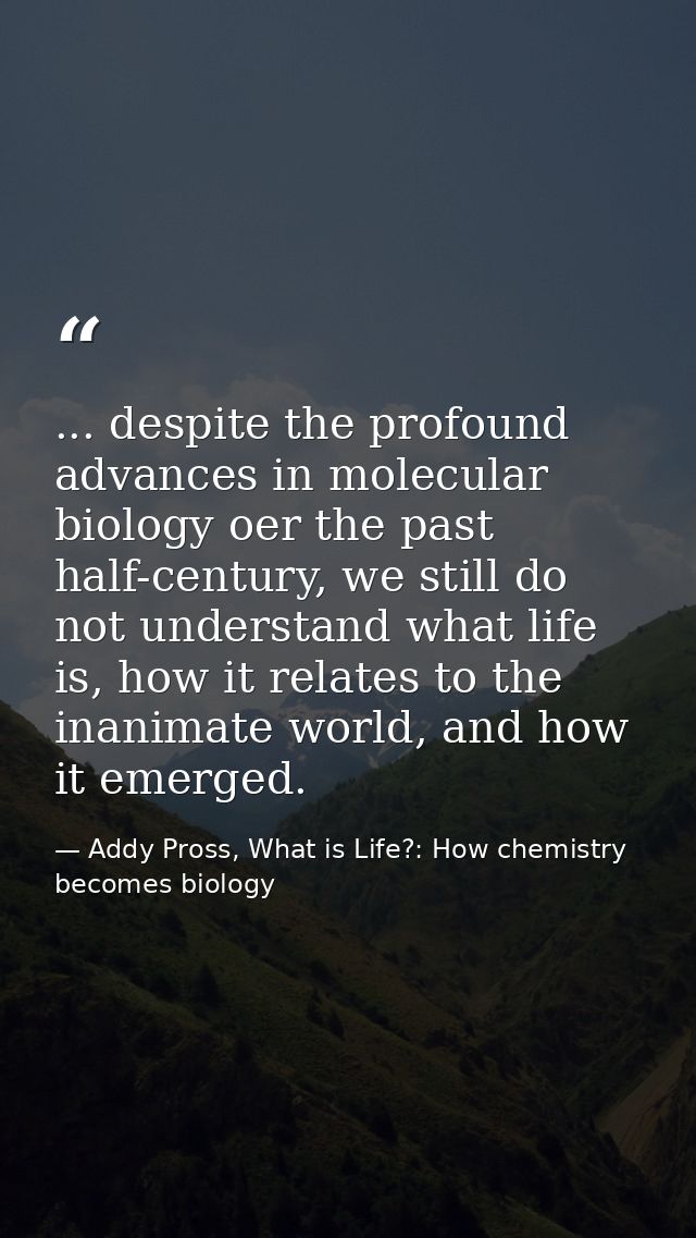 ... despite the profound advances in molecular biology oer the past half-century, we still do not understand what life i — Addy Pross, What is Life?: How chemistry becomes biology