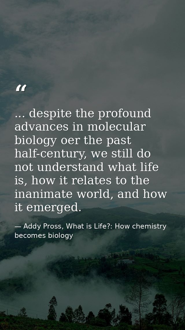 ... despite the profound advances in molecular biology oer the past half-century, we still do not understand what life i — Addy Pross, What is Life?: How chemistry becomes biology