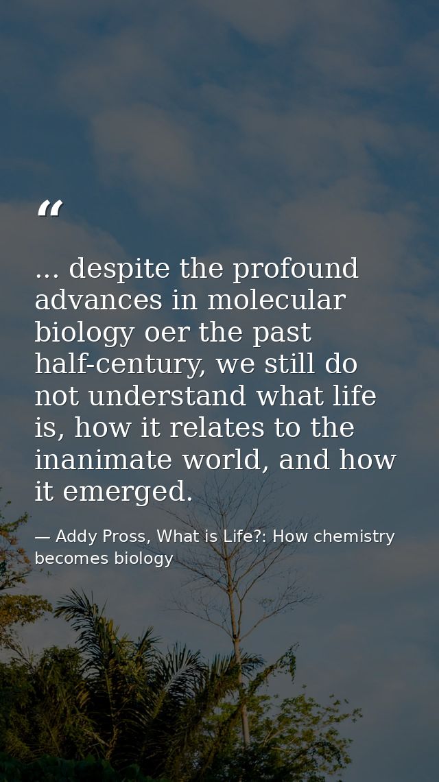 ... despite the profound advances in molecular biology oer the past half-century, we still do not understand what life i — Addy Pross, What is Life?: How chemistry becomes biology