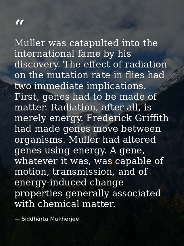 Muller was catapulted into the international fame by his discovery. The effect of radiation on the mutation rate in flie — Siddharta Mukherjee
