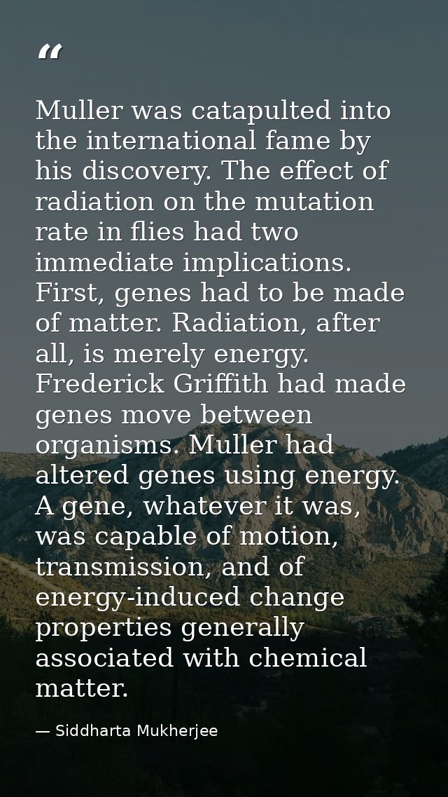 Muller was catapulted into the international fame by his discovery. The effect of radiation on the mutation rate in flie — Siddharta Mukherjee