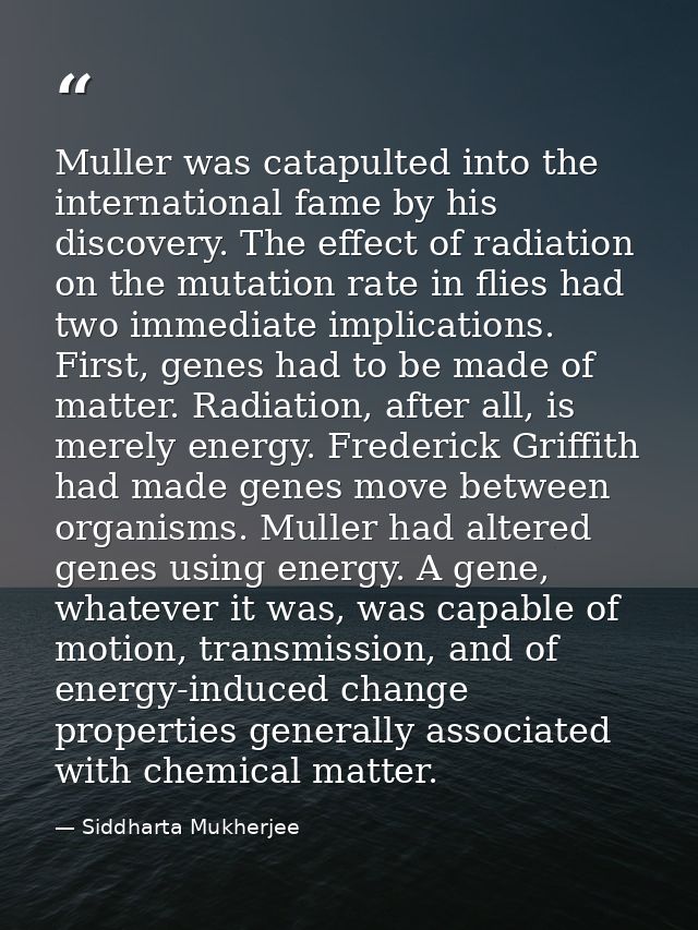 Muller was catapulted into the international fame by his discovery. The effect of radiation on the mutation rate in flie — Siddharta Mukherjee