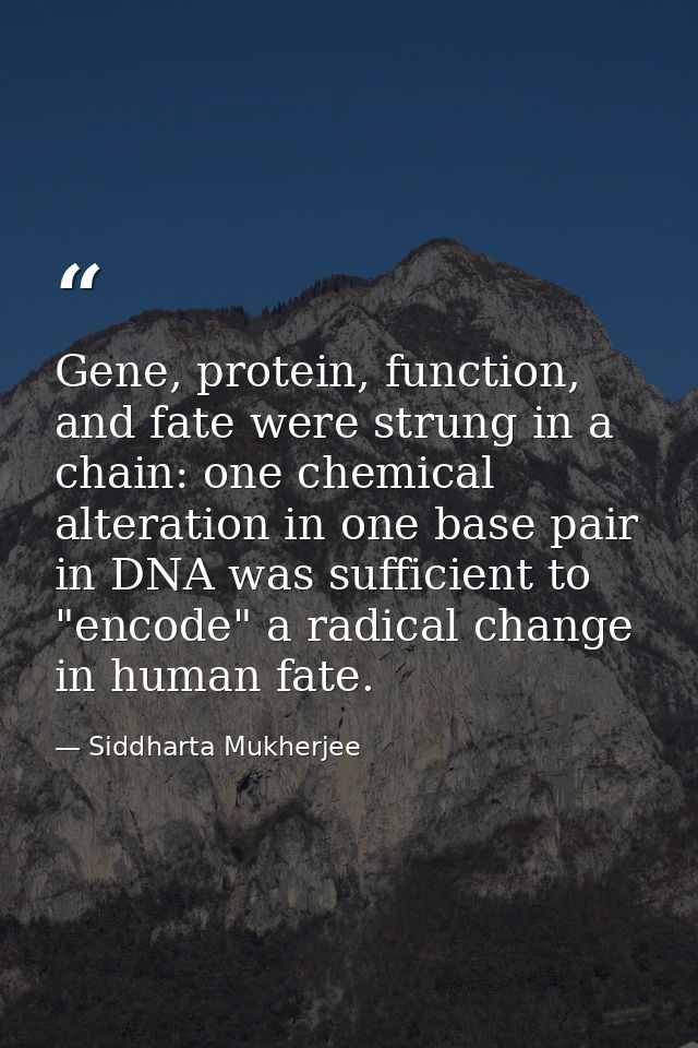 Gene, protein, function, and fate were strung in a chain: one chemical alteration in one base pair in DNA was sufficient — Siddharta Mukherjee