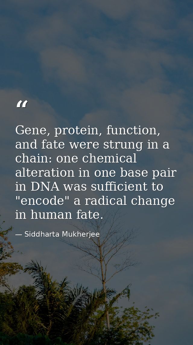 Gene, protein, function, and fate were strung in a chain: one chemical alteration in one base pair in DNA was sufficient — Siddharta Mukherjee