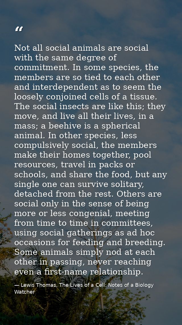 Not all social animals are social with the same degree of commitment. In some species, the members are so tied to each o — Lewis Thomas, The Lives of a Cell: Notes of a Biology Watcher