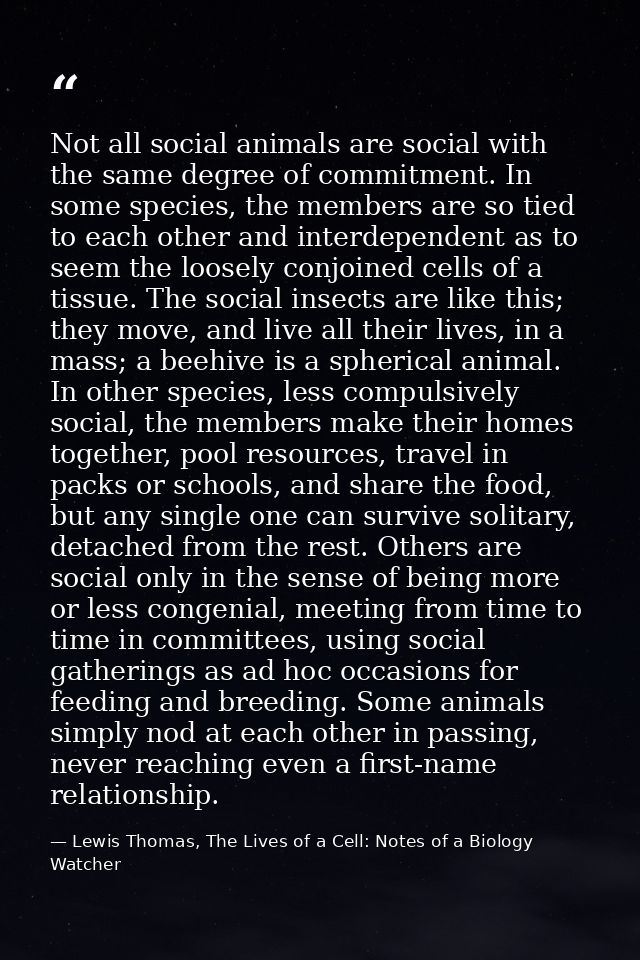 Not all social animals are social with the same degree of commitment. In some species, the members are so tied to each o — Lewis Thomas, The Lives of a Cell: Notes of a Biology Watcher