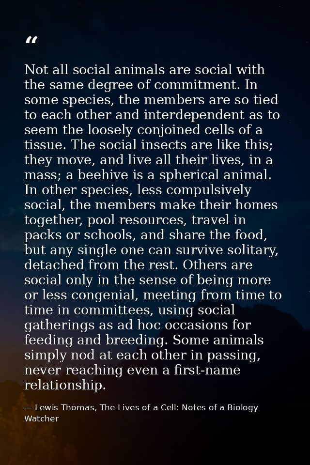 Not all social animals are social with the same degree of commitment. In some species, the members are so tied to each o — Lewis Thomas, The Lives of a Cell: Notes of a Biology Watcher
