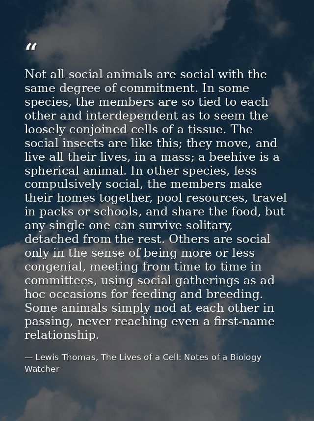 Not all social animals are social with the same degree of commitment. In some species, the members are so tied to each o — Lewis Thomas, The Lives of a Cell: Notes of a Biology Watcher