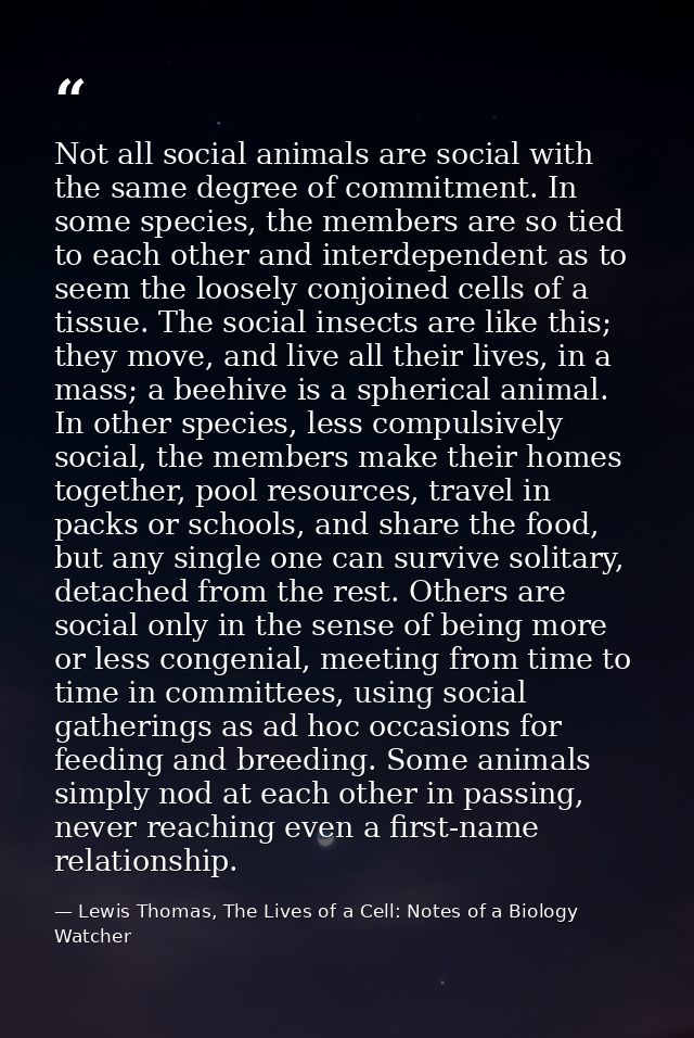 Not all social animals are social with the same degree of commitment. In some species, the members are so tied to each o — Lewis Thomas, The Lives of a Cell: Notes of a Biology Watcher