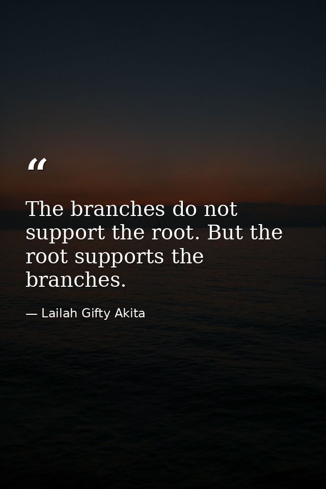 The branches do not support the root. But the root supports the branches. — Lailah Gifty Akita
