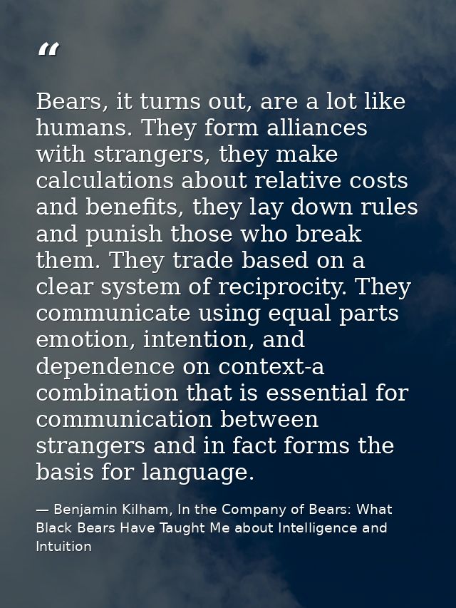 Bears, it turns out, are a lot like humans. They form alliances with strangers, they make calculations about relative co — Benjamin Kilham, In the Company of Bears: What Black Bears Have Taught Me about Intelligence and Intuition