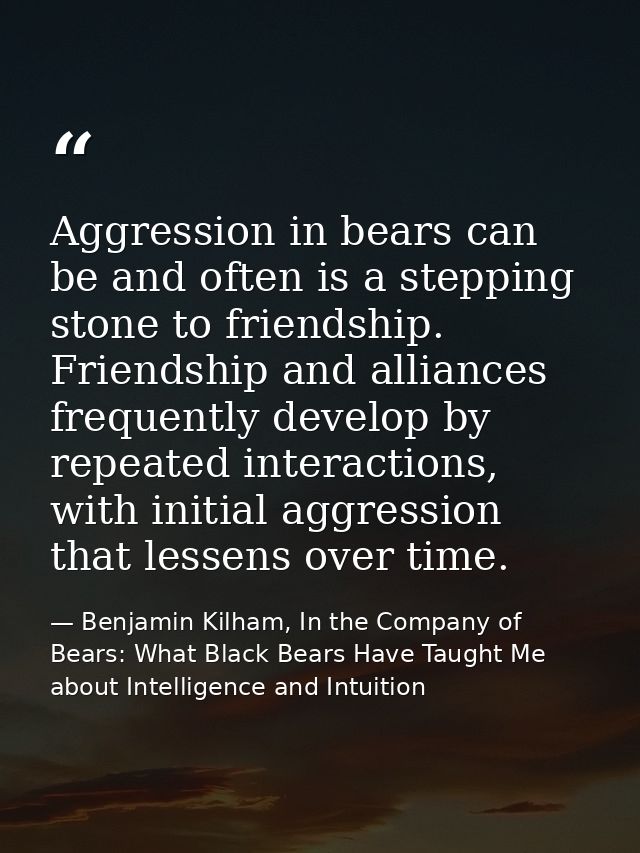 Aggression in bears can be and often is a stepping stone to friendship. Friendship and alliances frequently develop by r — Benjamin Kilham, In the Company of Bears: What Black Bears Have Taught Me about Intelligence and Intuition