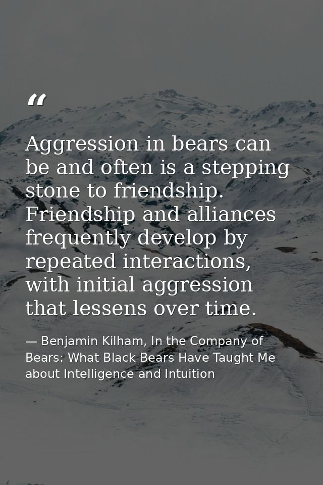 Aggression in bears can be and often is a stepping stone to friendship. Friendship and alliances frequently develop by r — Benjamin Kilham, In the Company of Bears: What Black Bears Have Taught Me about Intelligence and Intuition