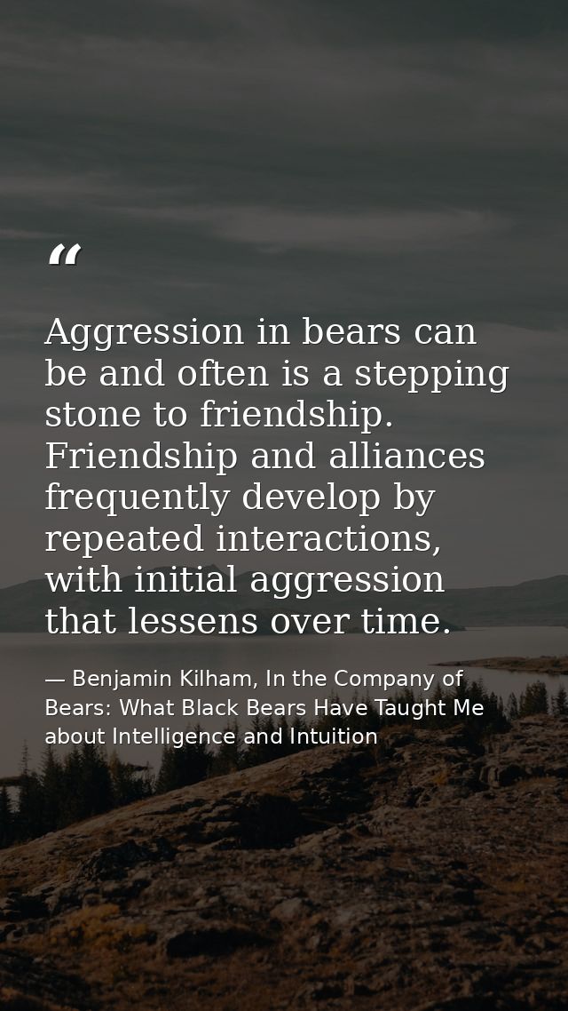 Aggression in bears can be and often is a stepping stone to friendship. Friendship and alliances frequently develop by r — Benjamin Kilham, In the Company of Bears: What Black Bears Have Taught Me about Intelligence and Intuition