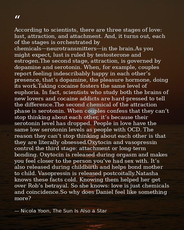 According to scientists, there are three stages of love: lust, attraction, and attachment. And, it turns out, each of th — Nicola Yoon, The Sun Is Also a Star