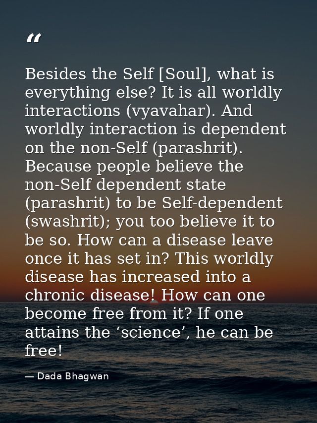 Besides the Self [Soul], what is everything else? It is all worldly interactions (vyavahar). And worldly interaction is  — Dada Bhagwan