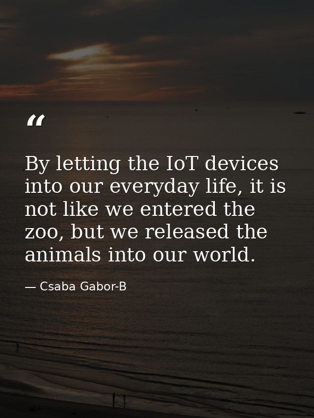 By letting the IoT devices into our everyday life, it is not like we entered the zoo, but we released the animals into o — Csaba Gabor-B