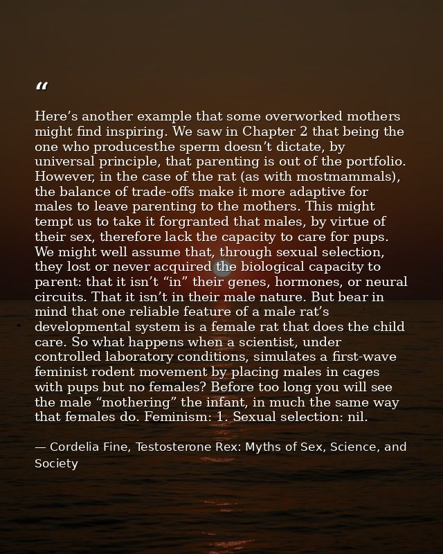 Here’s another example that some overworked mothers might find inspiring. We saw in Chapter 2 that being the one who pro — Cordelia Fine, Testosterone Rex: Myths of Sex, Science, and Society