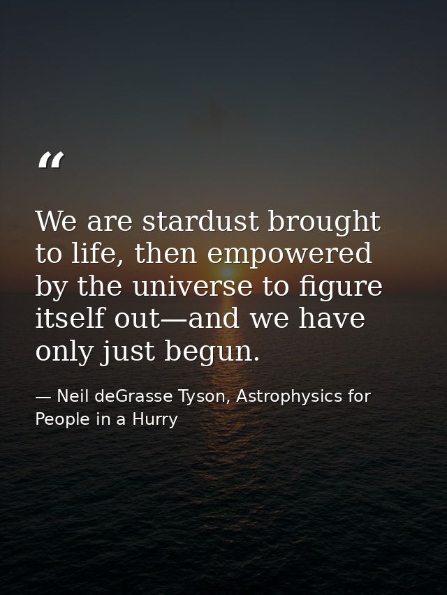 We are stardust brought to life, then empowered by the universe to figure itself out—and we have only just begun. — Neil deGrasse Tyson, Astrophysics for People in a Hurry