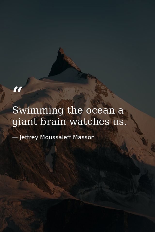 Swimming the ocean a giant brain watches us. — Jeffrey Moussaieff Masson