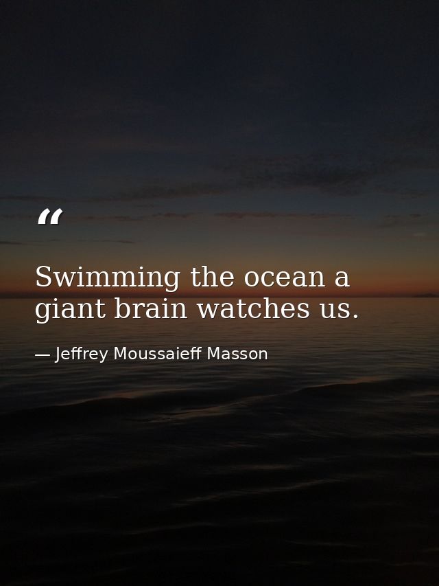 Swimming the ocean a giant brain watches us. — Jeffrey Moussaieff Masson