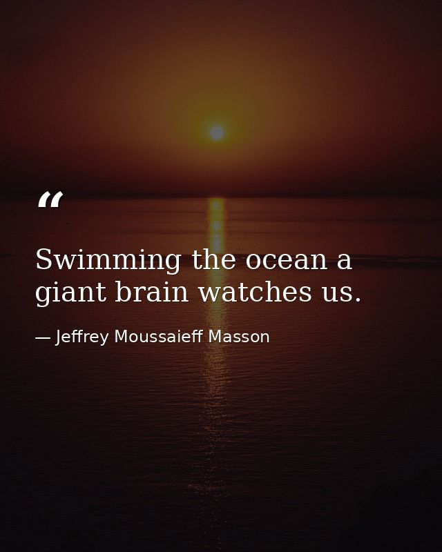 Swimming the ocean a giant brain watches us. — Jeffrey Moussaieff Masson