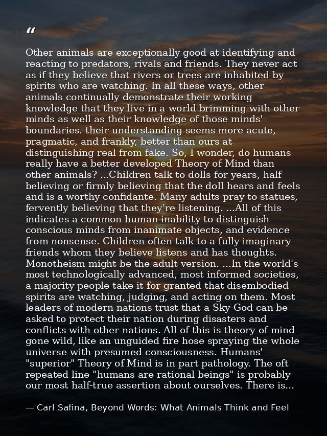 Other animals are exceptionally good at identifying and reacting to predators, rivals and friends. They never act as if  — Carl Safina, Beyond Words: What Animals Think and Feel