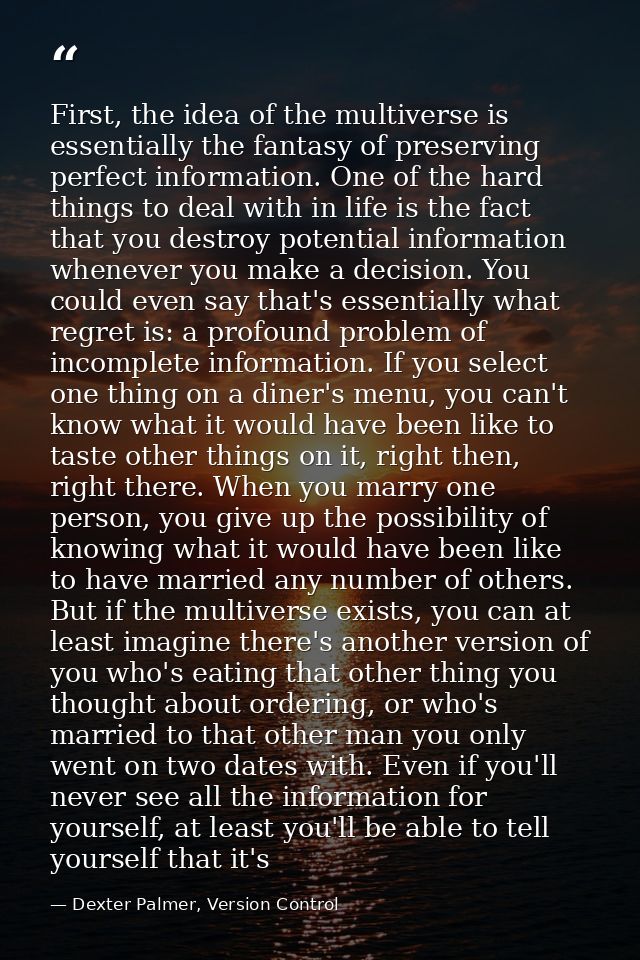 First, the idea of the multiverse is essentially the fantasy of preserving perfect information. One of the hard things t — Dexter Palmer, Version Control