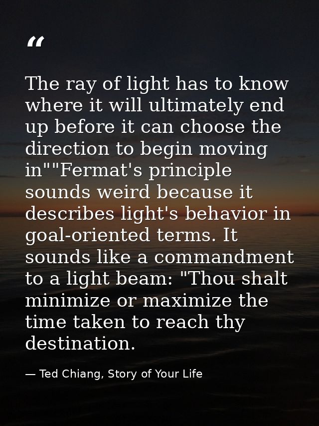 The ray of light has to know where it will ultimately end up before it can choose the direction to begin moving in""Ferm — Ted Chiang, Story of Your Life