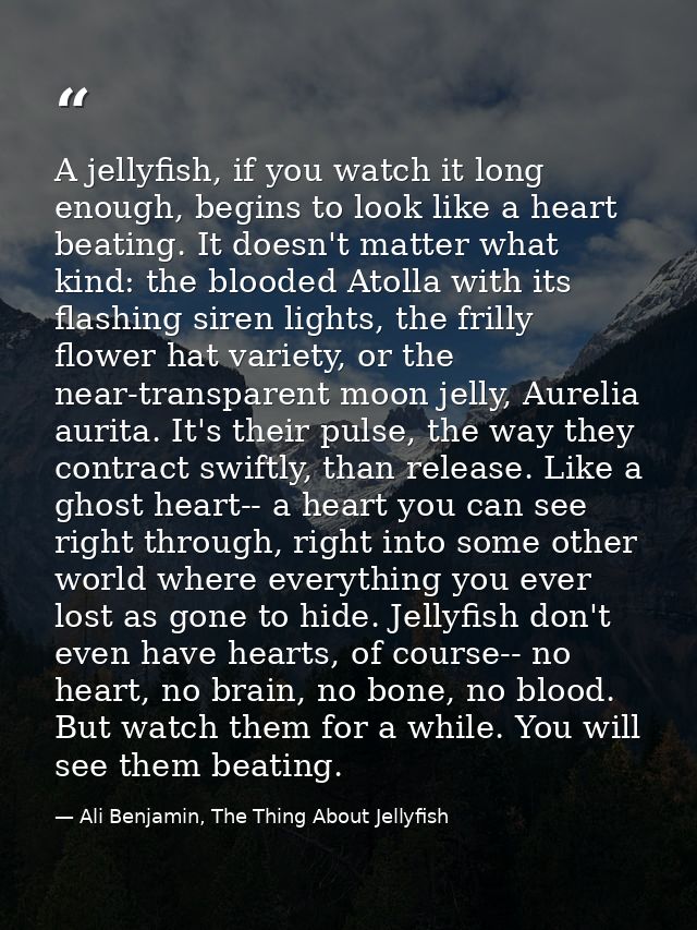 A jellyfish, if you watch it long enough, begins to look like a heart beating. It doesn't matter what kind: the blooded  — Ali Benjamin, The Thing About Jellyfish