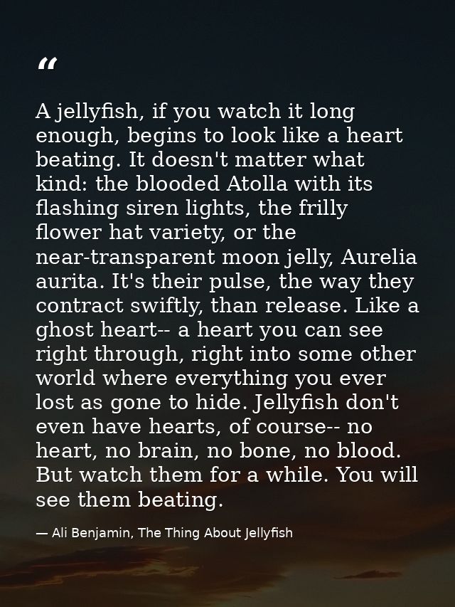 A jellyfish, if you watch it long enough, begins to look like a heart beating. It doesn't matter what kind: the blooded  — Ali Benjamin, The Thing About Jellyfish