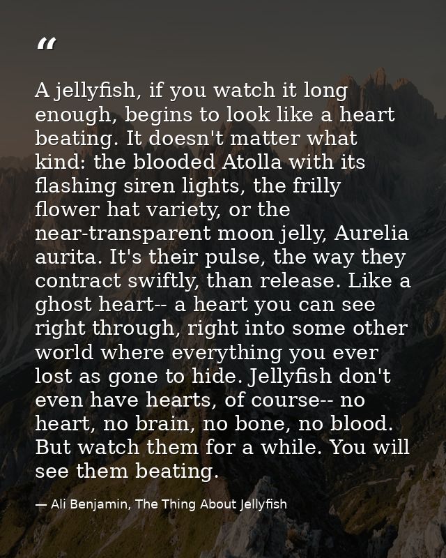 A jellyfish, if you watch it long enough, begins to look like a heart beating. It doesn't matter what kind: the blooded  — Ali Benjamin, The Thing About Jellyfish