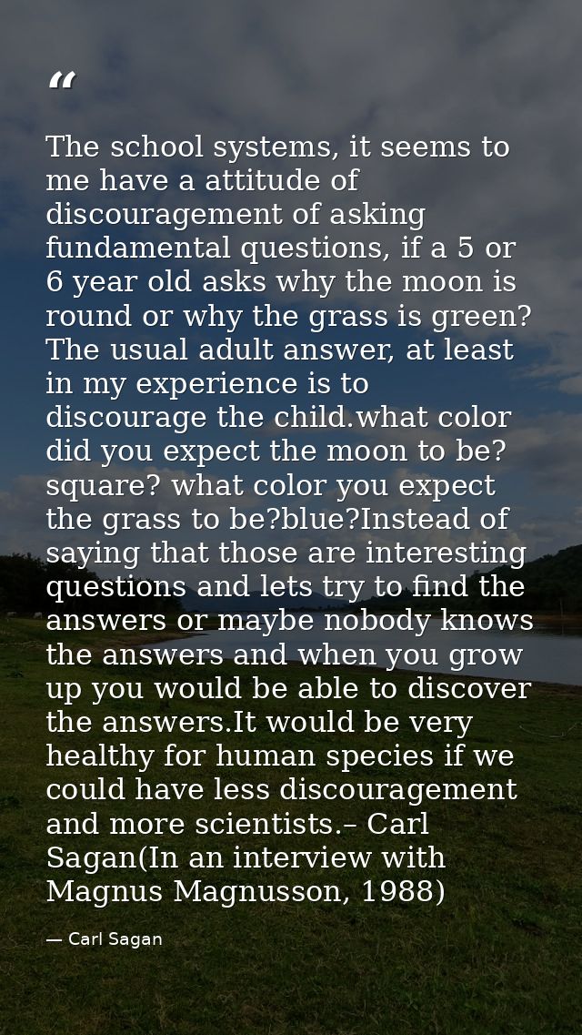 The school systems, it seems to me have a attitude of discouragement of asking fundamental questions, if a 5 or 6 year o — Carl Sagan