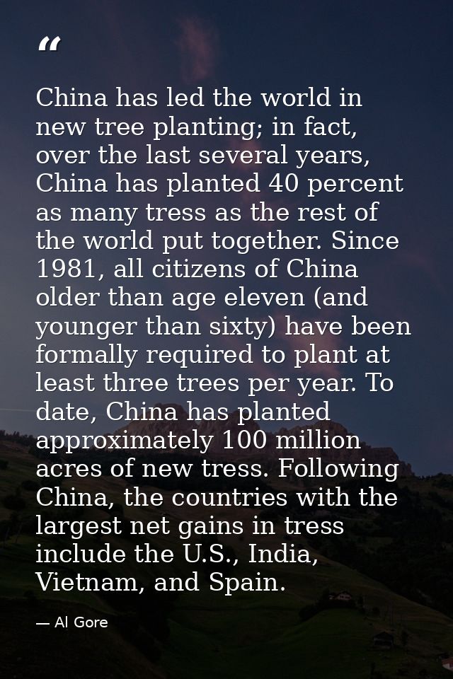 China has led the world in new tree planting; in fact, over the last several years, China has planted 40 percent as many — Al Gore